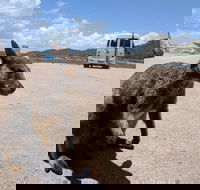 Magnetic Island Tour Maggie Comprehensive - Holiday Adelaide