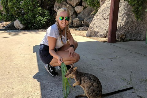 Magnetic Island Tour: Maggie Comprehensive - Holiday Adelaide 9