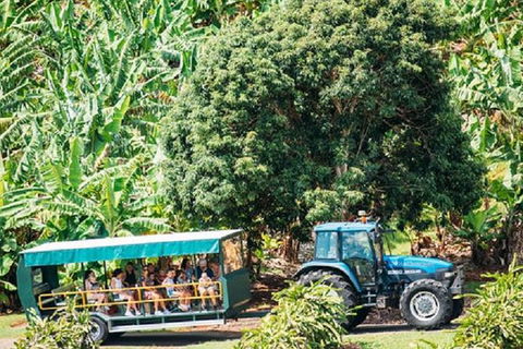 Tropical Fruit World With Wildlife Boat Cruise From Gold Coast - Holiday Adelaide 6