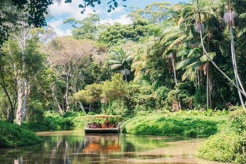 Tropical Fruit World With Wildlife Boat Cruise From Gold Coast - Holiday Adelaide 11