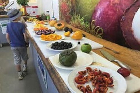 Tropical Fruit World With Wildlife Boat Cruise From Gold Coast - Holiday Adelaide 9