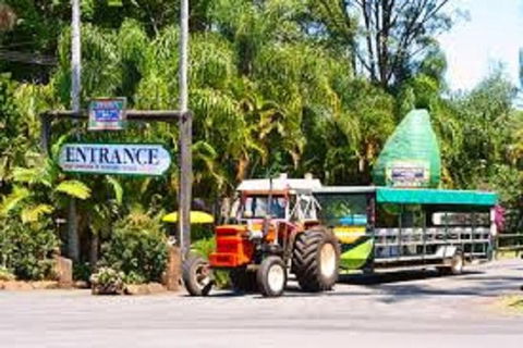 Tropical Fruit World With Wildlife Boat Cruise From Gold Coast - Holiday Adelaide 10