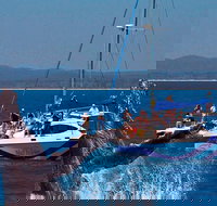 Blue Dolphin Exclusive Whale Watch Encounters