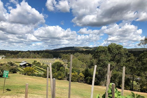 Sirromet Winery All Inclusive Lunch @ Lurleens, Tour, Tastings And Transfers - Holiday Adelaide 4