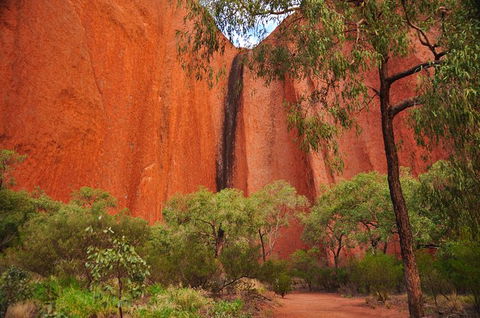 Uluru Sunrise And Guided Base Walk - Holiday Adelaide 14