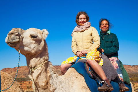 Alice Springs Camel Tour - Holiday Adelaide 8
