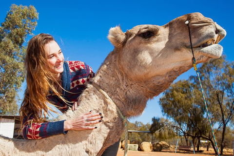 Alice Springs Camel Tour - Holiday Adelaide 6