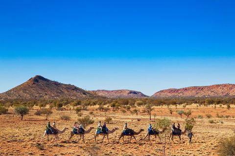 Alice Springs Camel Tour - Holiday Adelaide 5
