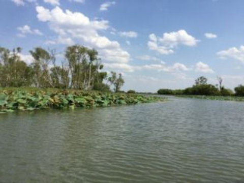 1 Day Corroboree Billabong Wetland Experience Including 2.5 Hour Cruise + Lunch - Holiday Adelaide 4