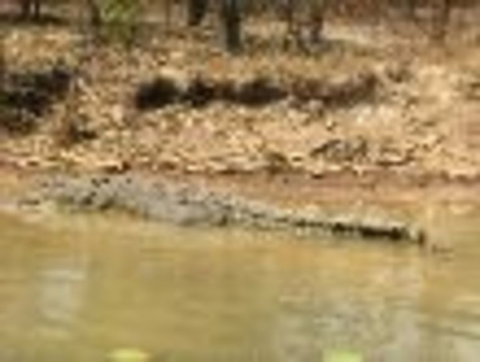 1 Day Corroboree Billabong Wetland Experience Including 2.5 Hour Cruise + Lunch - Holiday Adelaide 6