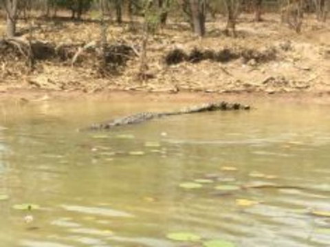 1 Day Corroboree Billabong Wetland Experience Including 2.5 Hour Cruise + Lunch - Holiday Adelaide 5