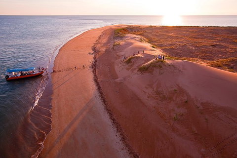 Turtle Tracks Tour To Bare Sand Island From Darwin - Holiday Adelaide 1