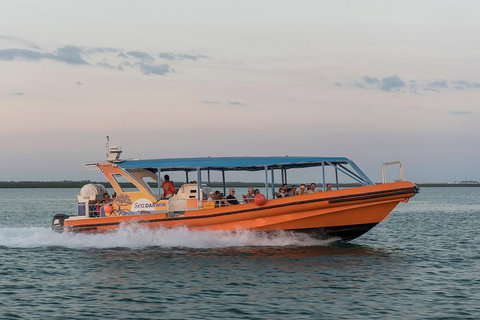 Turtle Tracks Tour To Bare Sand Island From Darwin - Holiday Adelaide 5