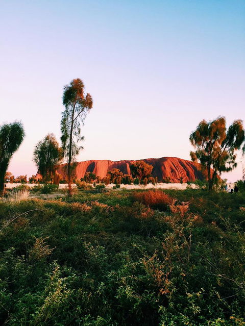 Uluru & Kata Tjuta Sights & Sounds - Holiday Adelaide 3