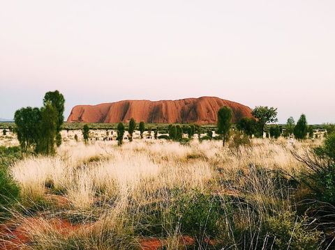 Uluru & Kata Tjuta Sights & Sounds - Holiday Adelaide 4