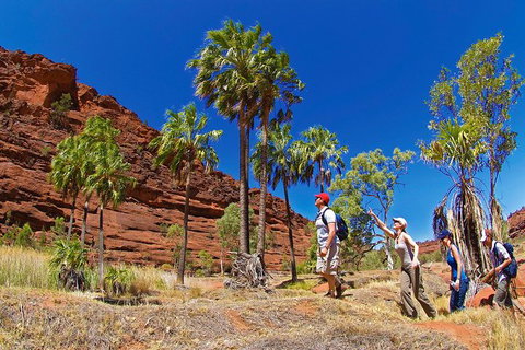 Palm Valley 4WD Tour From Alice Springs - Holiday Adelaide 0