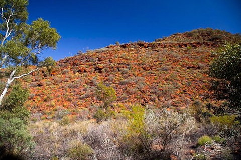 Palm Valley 4WD Tour From Alice Springs - Holiday Adelaide 7