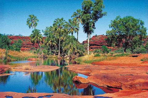 Palm Valley 4WD Tour From Alice Springs - Holiday Adelaide 5