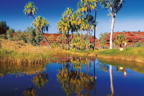 Palm Valley 4WD Tour From Alice Springs - Holiday Adelaide 3