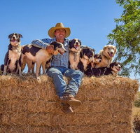 Skip-the-Line Katherine Outback Experience Show Ticket - Holiday Adelaide