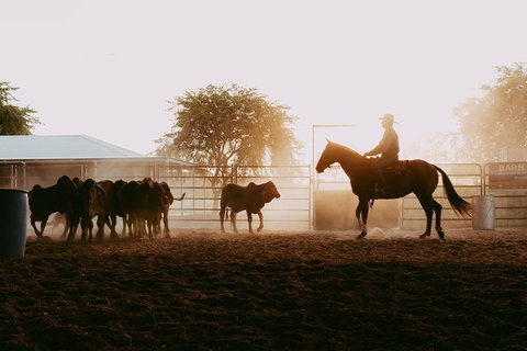 Skip-the-Line Katherine Outback Experience Show Ticket - Holiday Adelaide 3