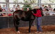 Skip-the-Line Katherine Outback Experience Show Ticket - thumb 10