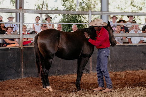 Skip-the-Line Katherine Outback Experience Show Ticket - Holiday Adelaide 10