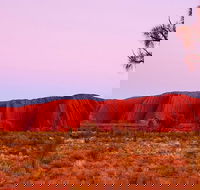 Best of Ayers Rock Sunset Uluru and Sunrise Kata Tjuta Small Group Tours - Holiday Adelaide