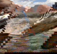 Kata Tjuta Small-Group Tour Including Sunrise and Breakfast - Holiday Adelaide