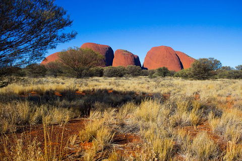 Ayers Rock 4 Tour Combo: Complete Uluru Base Walk At Sunrise, Valley Of The Winds At Sunrise, Kata Tjuta Sunset And Uluru Sunset - Holiday Adelaide 12