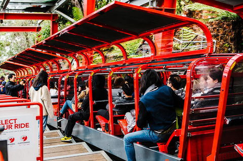 All-Inclusive Blue Mountains Day Trip With River Cruise - Holiday Adelaide 7