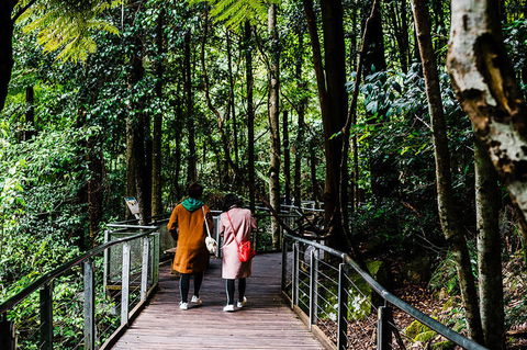 All-Inclusive Blue Mountains Day Trip With River Cruise - Holiday Adelaide 10