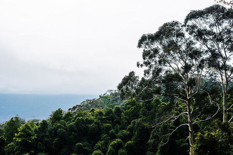 All-Inclusive Blue Mountains Day Trip With River Cruise - Holiday Adelaide 18