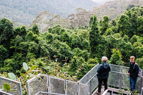 All-Inclusive Blue Mountains Day Trip With River Cruise - Holiday Adelaide 2