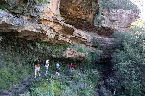 All-Inclusive Blue Mountains Day Trip With River Cruise - Holiday Adelaide 38
