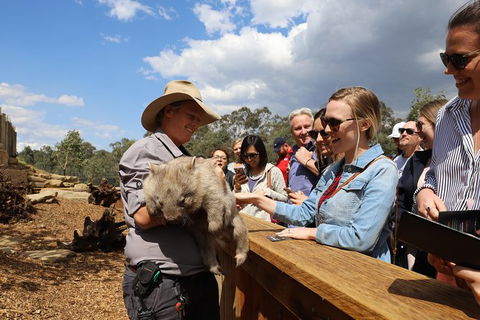 All-Inclusive Blue Mountains Day Trip With River Cruise - Holiday Adelaide 27