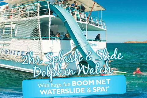 Port Stephens Dolphin Watching Cruise Including Splash And Slide - Holiday Adelaide 0