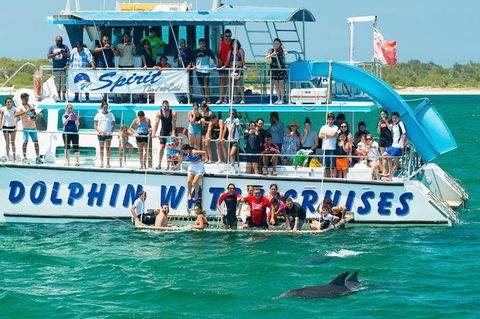 Port Stephens Dolphin Watching Cruise Including Splash And Slide - Holiday Adelaide 1