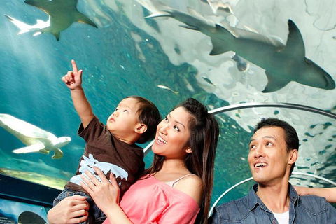 Sydney Shore Excursion: SEA LIFE Sydney Aquarium Entrance Ticket - Holiday Adelaide 3
