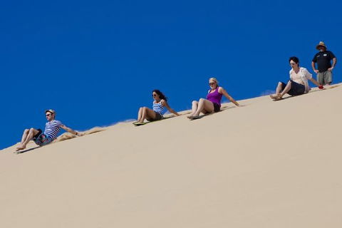 Port Stephens Day Tour From Sydney Including 4WD, Sandboarding And Dolphins - Holiday Adelaide 1