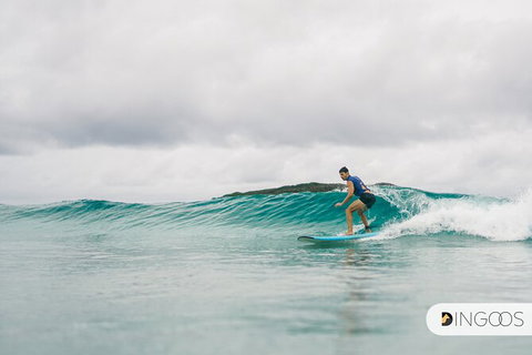 5-Day Byron Bay And Evans Head Surf Adventure From Brisbane, Gold Coast Or Byron Bay - Holiday Adelaide 4