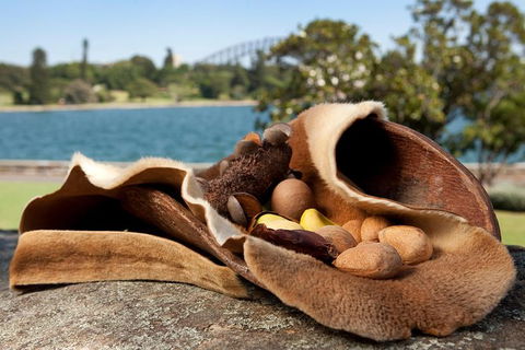 Aboriginal Heritage Tour At The Royal Botanic Garden Sydney - Holiday Adelaide 7