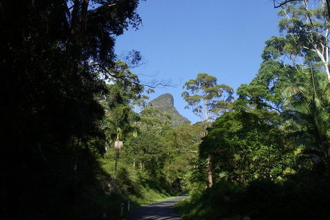 Mount Warning Day Trip From Byron Bay Including BBQ Lunch - Holiday Adelaide 6