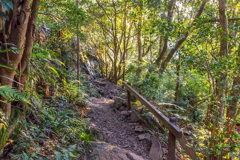Mount Warning Day Trip From Byron Bay Including BBQ Lunch - Holiday Adelaide 9