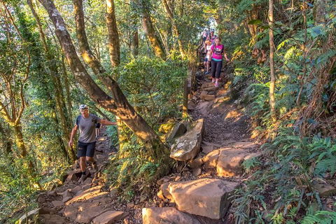 Mount Warning Day Trip From Byron Bay Including BBQ Lunch - Holiday Adelaide 11