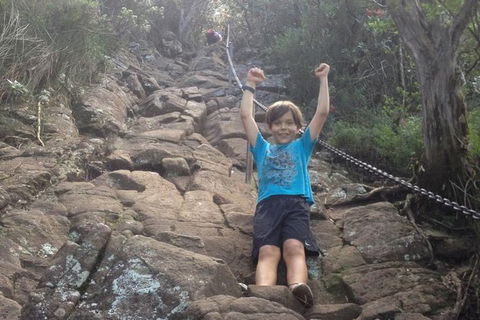 Mount Warning Day Trip From Byron Bay Including BBQ Lunch - Holiday Adelaide 8