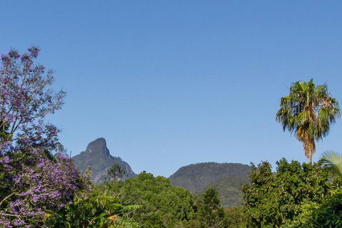 Mount Warning Day Trip From Byron Bay Including BBQ Lunch - Holiday Adelaide 3