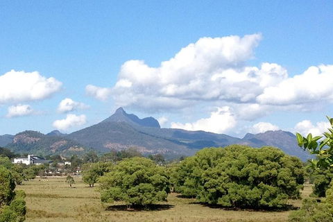 Mount Warning Day Trip From Byron Bay Including BBQ Lunch - Holiday Adelaide 7