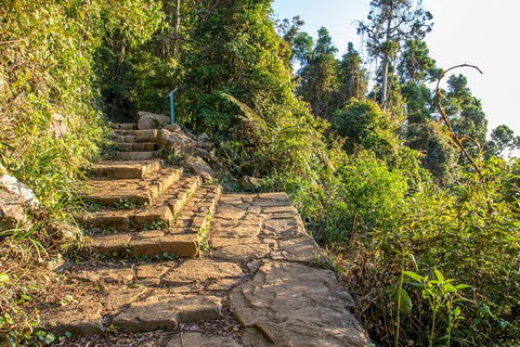 Mount Warning Day Trip From Byron Bay Including BBQ Lunch - Holiday Adelaide 10