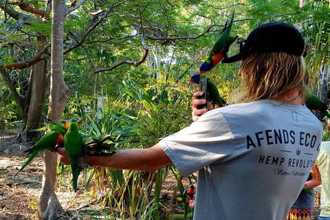 Stray Australia: Byron Bay To Cairns - Freestyle Tour - Holiday Adelaide 1